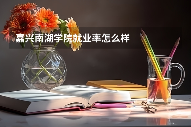 嘉兴南湖学院就业率怎么样