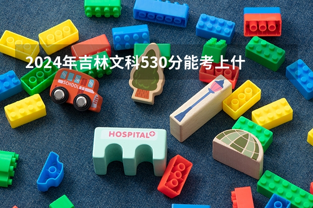 2024年吉林文科530分能考上什么大学?