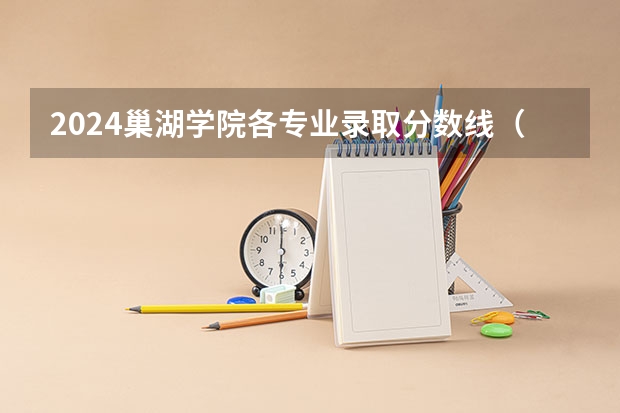 2024巢湖学院各专业录取分数线（苏州商学院录取分数线）