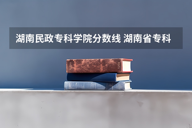 湖南民政专科学院分数线 湖南省专科学校录取分数线排名