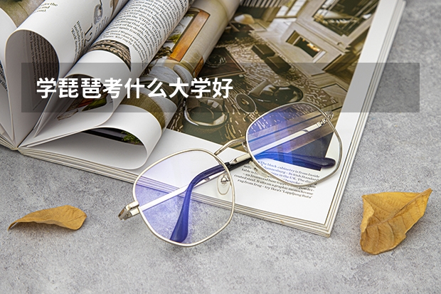学琵琶考什么大学好