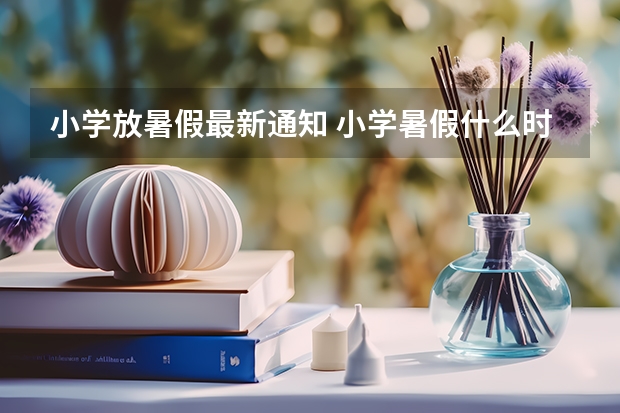 小学放暑假最新通知 小学暑假什么时候放假呢