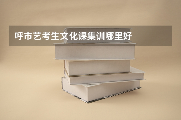 呼市艺考生文化课集训哪里好