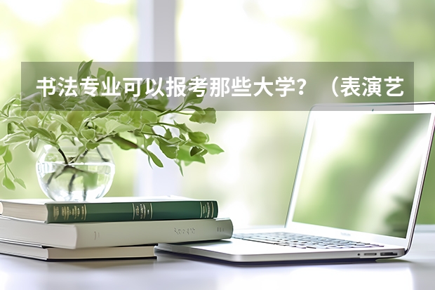 书法专业可以报考那些大学？（表演艺考在贵州大学的南区还是北区考）