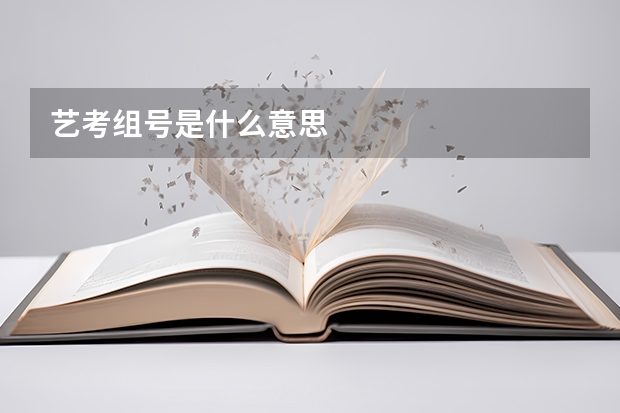 艺考组号是什么意思
