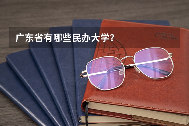 广东省有哪些民办大学？