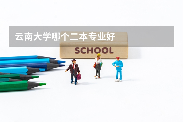 云南大学哪个二本专业好
