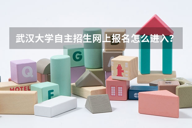 武汉大学自主招生网上报名怎么进入?请帮忙?