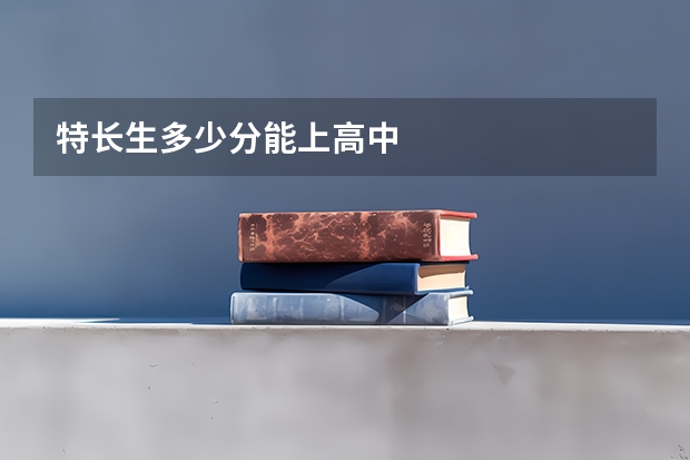 特长生多少分能上高中