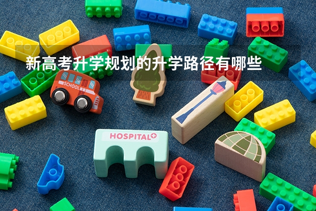 新高考升学规划的升学路径有哪些