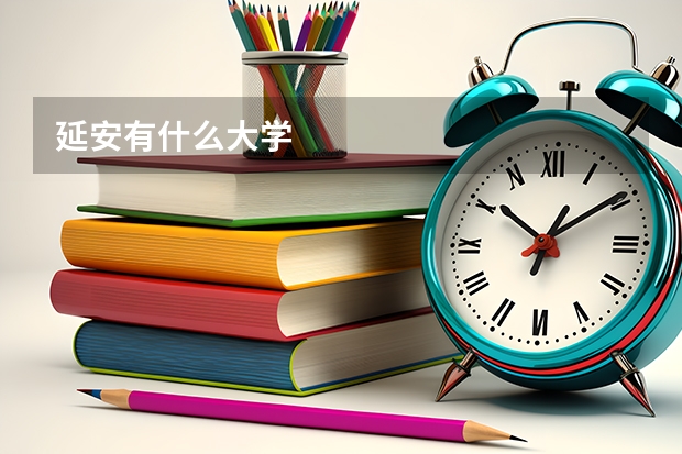 延安有什么大学