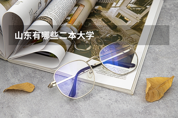 山东有哪些二本大学